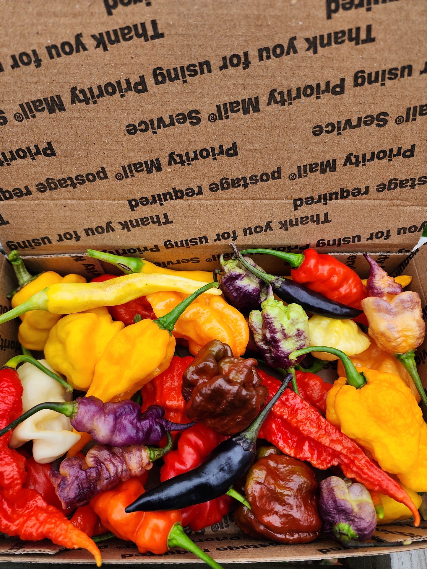 The Hood Garden Superhot Pepper Collection – 2026 Limited Edition