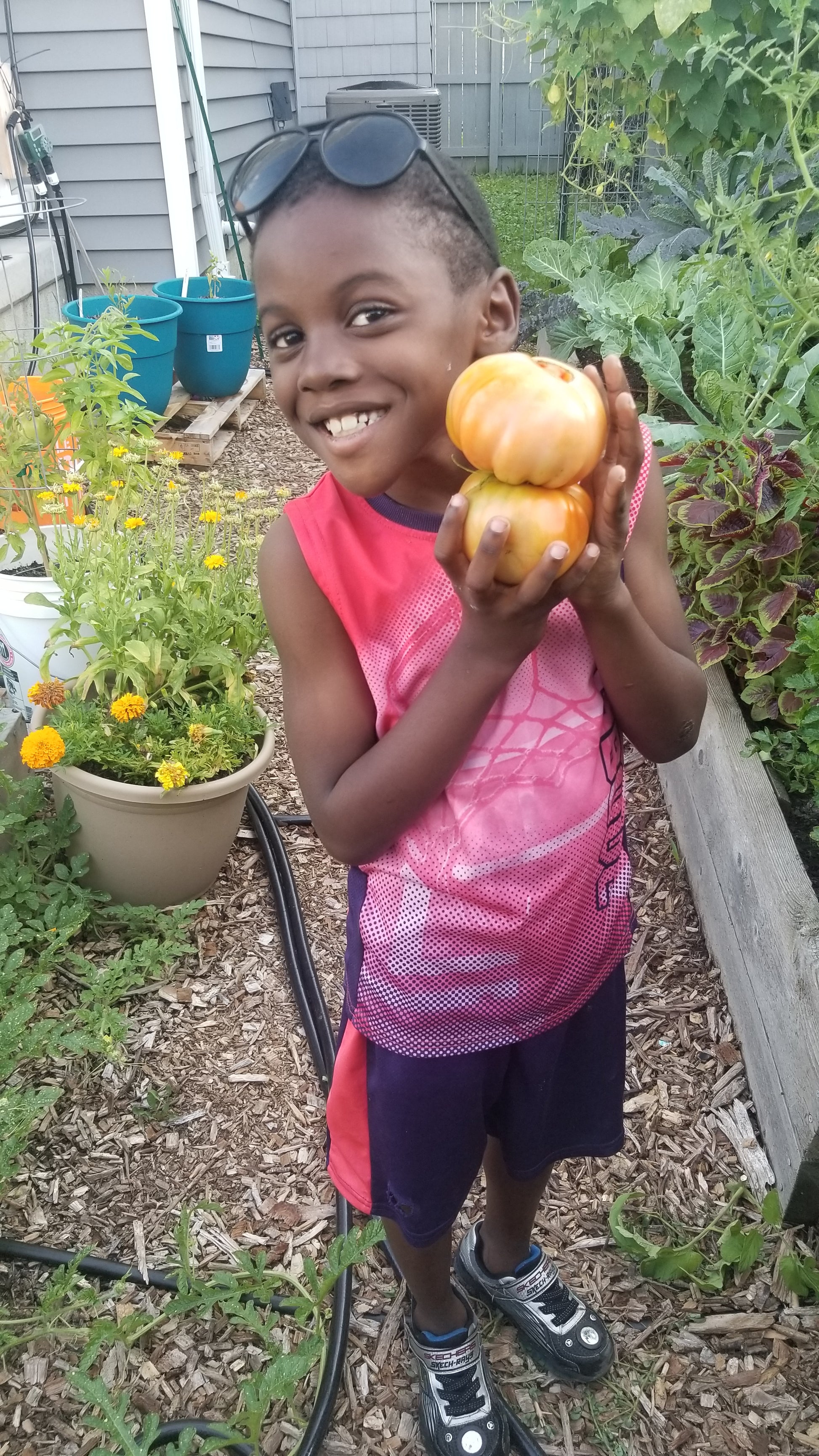 Heirloom Beefsteak Tomato