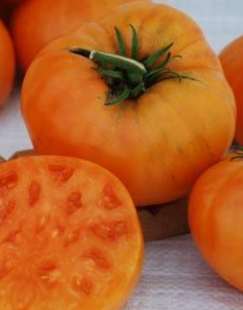 Kellogg's Breakfast Tomato (Organic)