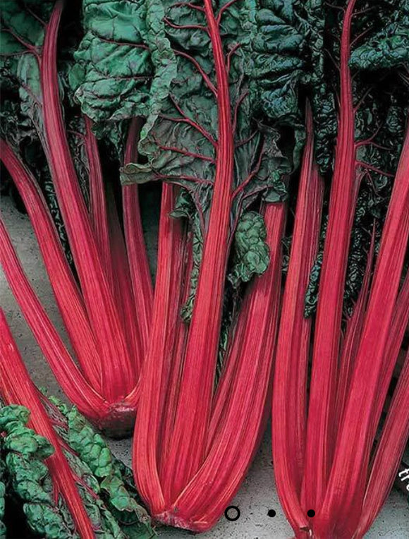 Ruby Red Swiss Chard (Organic)